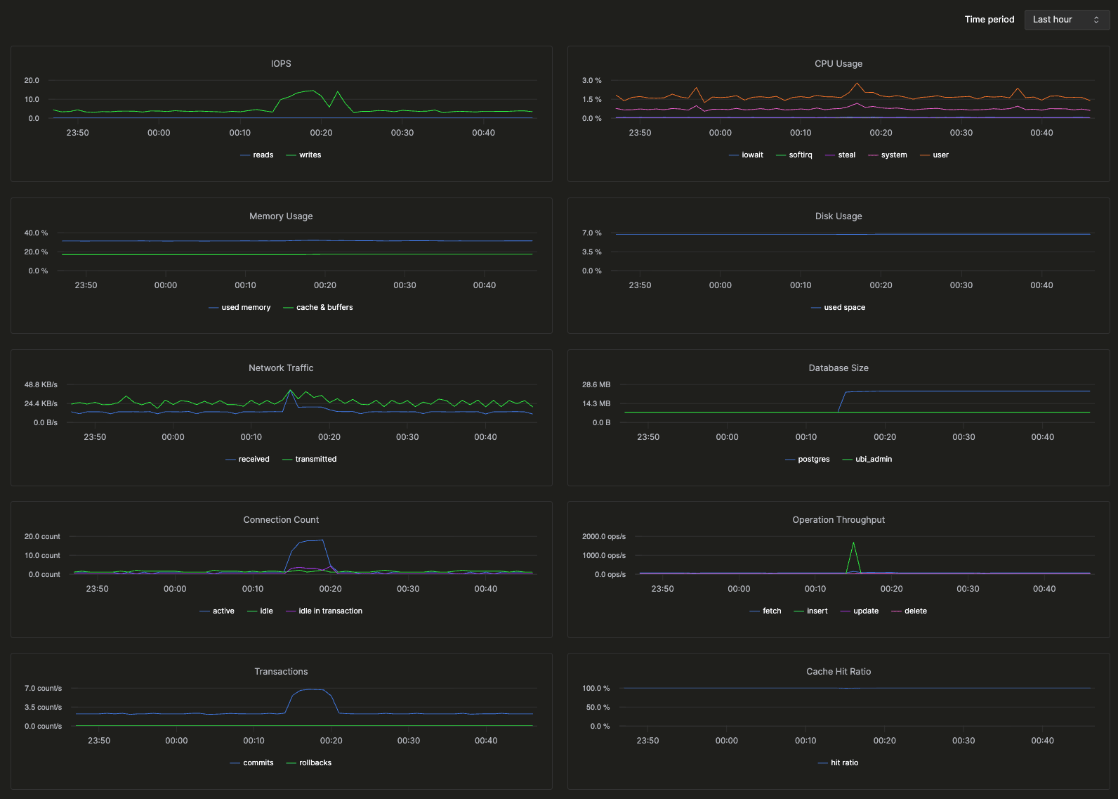 Monitoring dashboard showing IOPS, CPU usage, memory, disk, network traffic, database size, connections, throughput, transactions, cache hit ratio, and deadlocks
